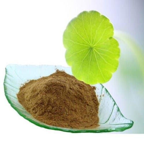 Centella Asiatica Powder - Brahmi Powder - AE Impex